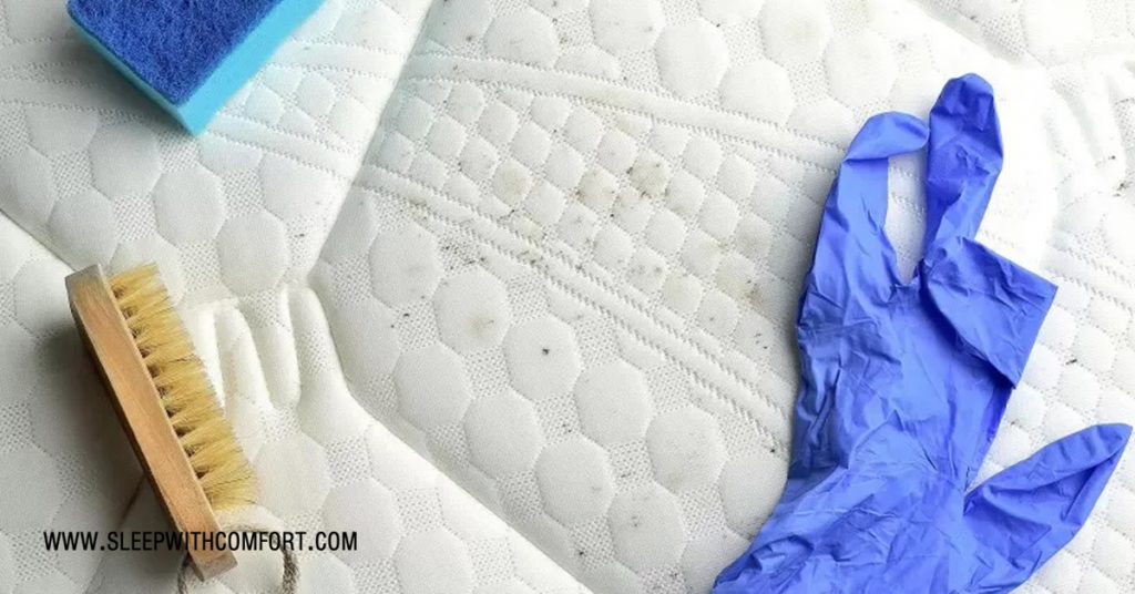  How to Remove Mold spots from a Mattress