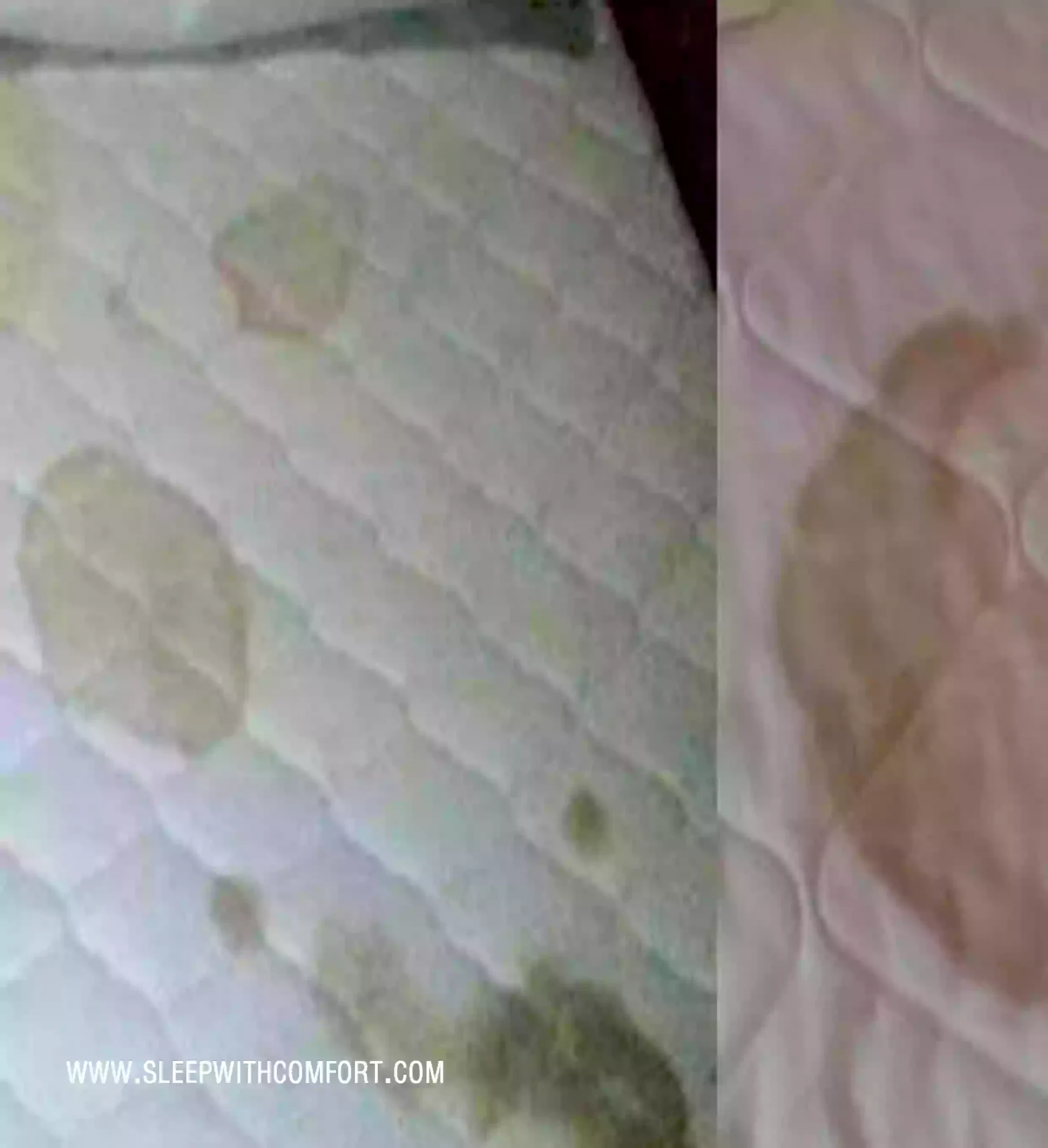 HOW TO CLEAN BLOOD OFF A MATTRESS
